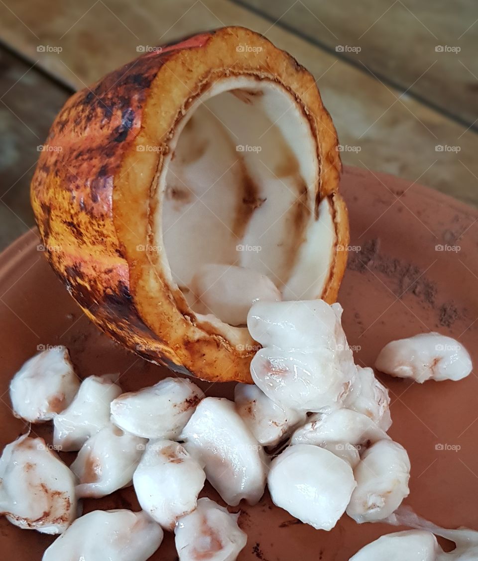 Cocoa in nature