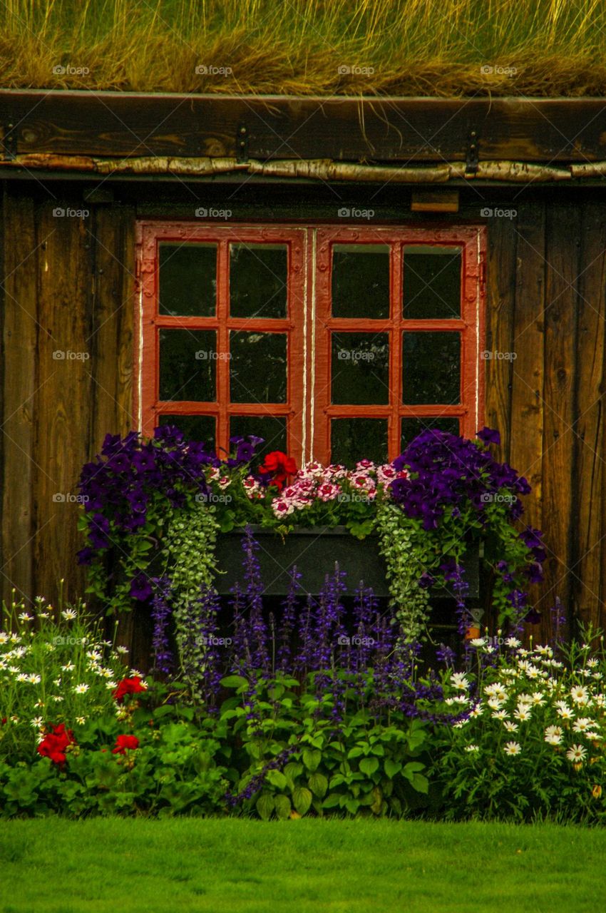 Colorful flowers und a window of a wooden house