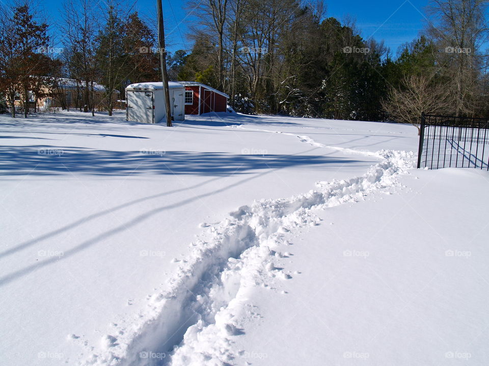 Snowy path