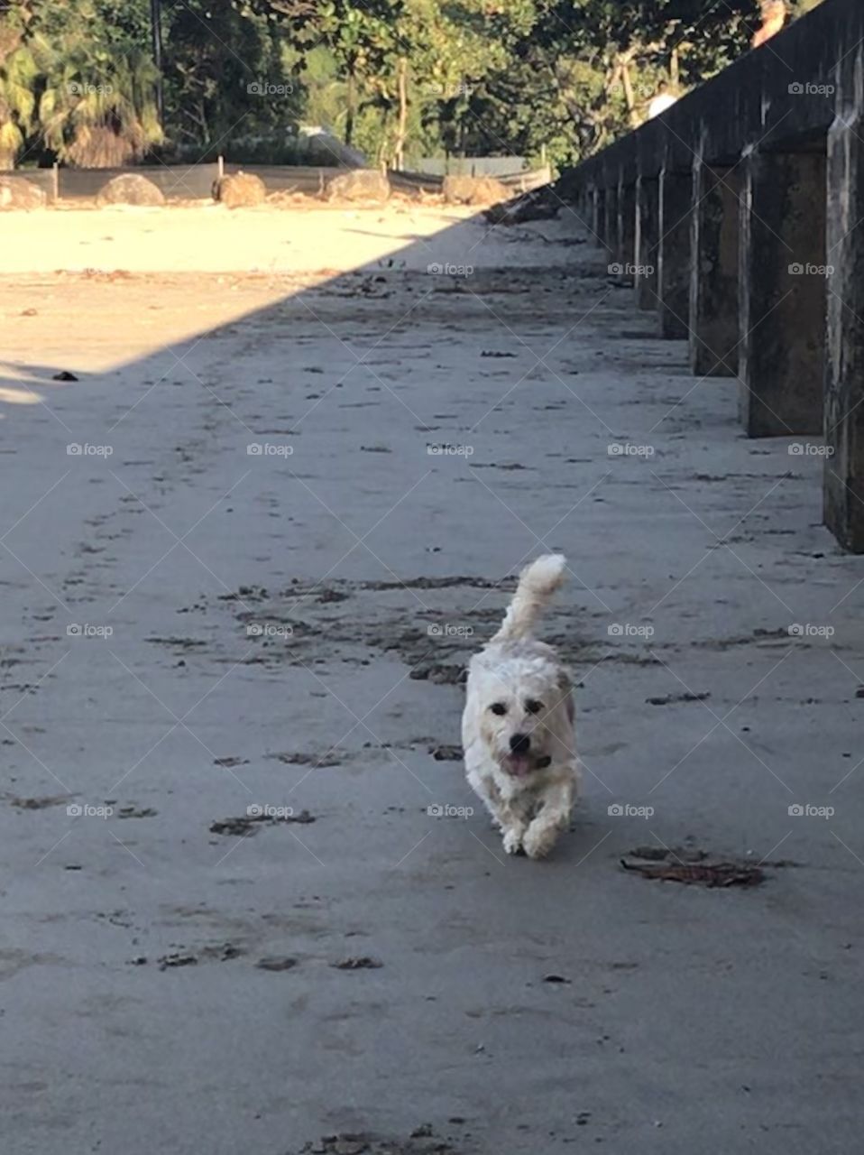 Beach walk 