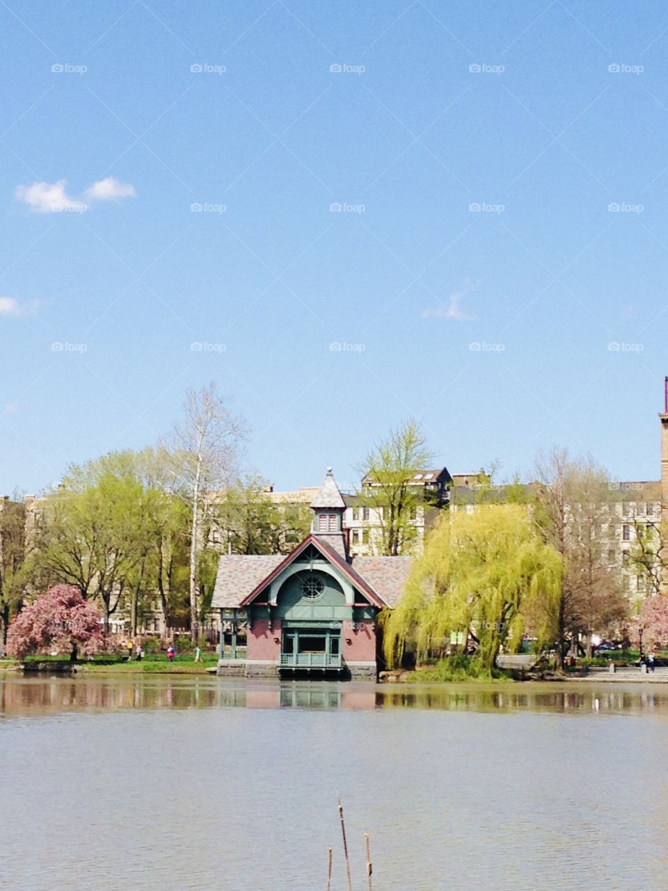 Harlem Meer spring in Central Park 