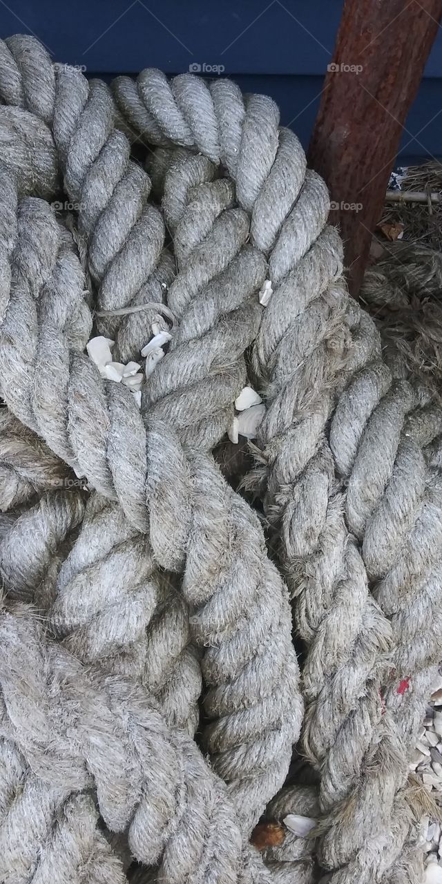 fishing rope