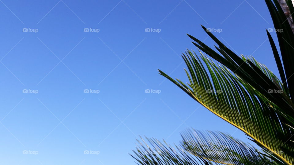 Nature, Sky, No Person, Outdoors, Tree