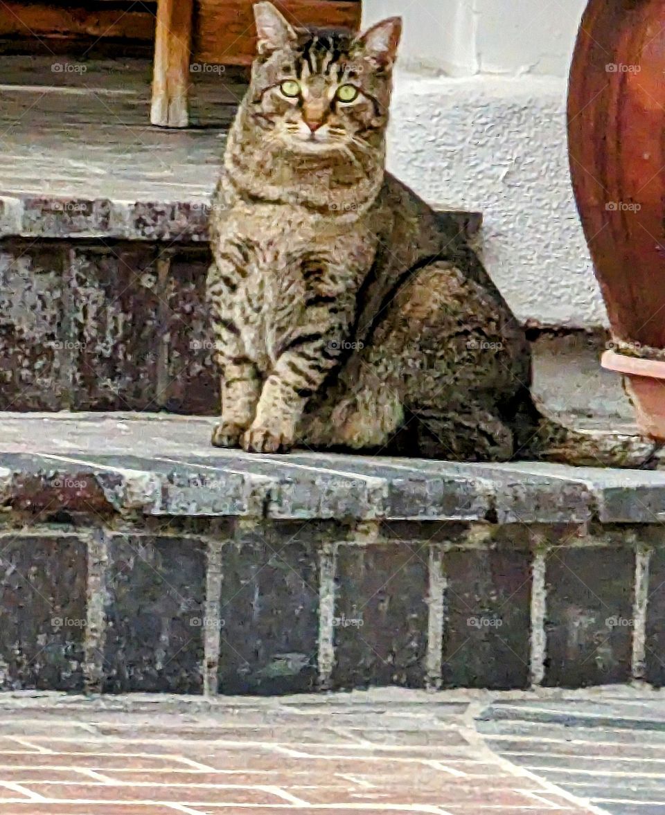 Post up At 
The House