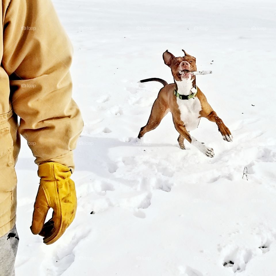 Fun with a Stick