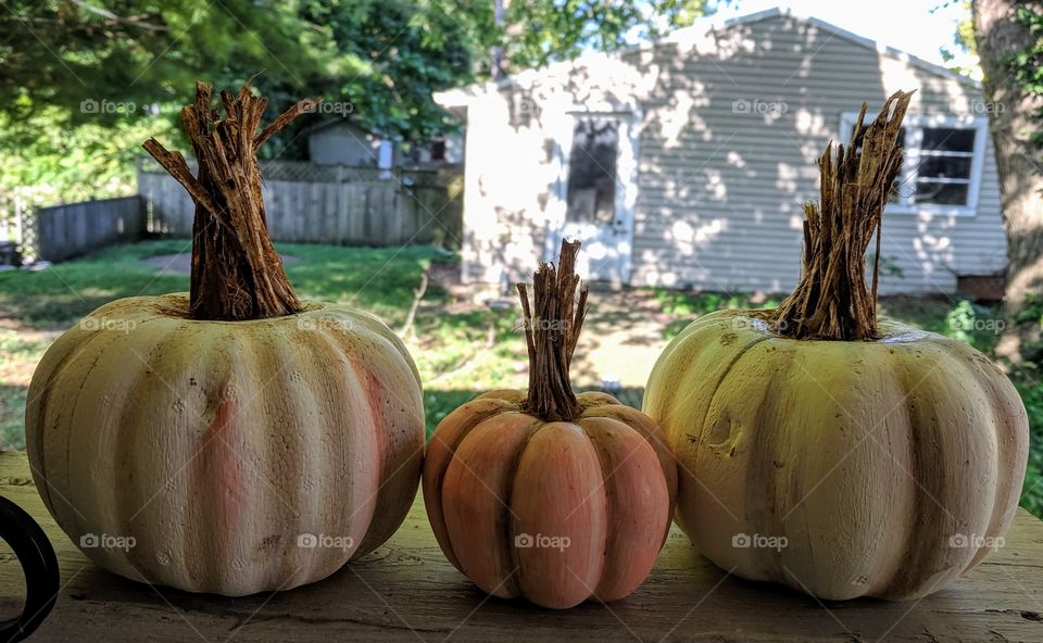 pumpkins