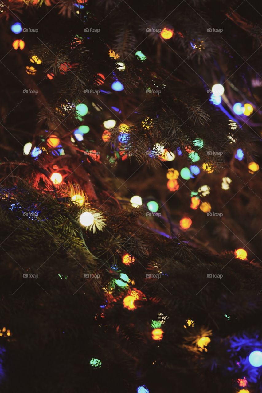 Blurred Christmas Lights In A Pine Tree Outdoors Taken In Ohio