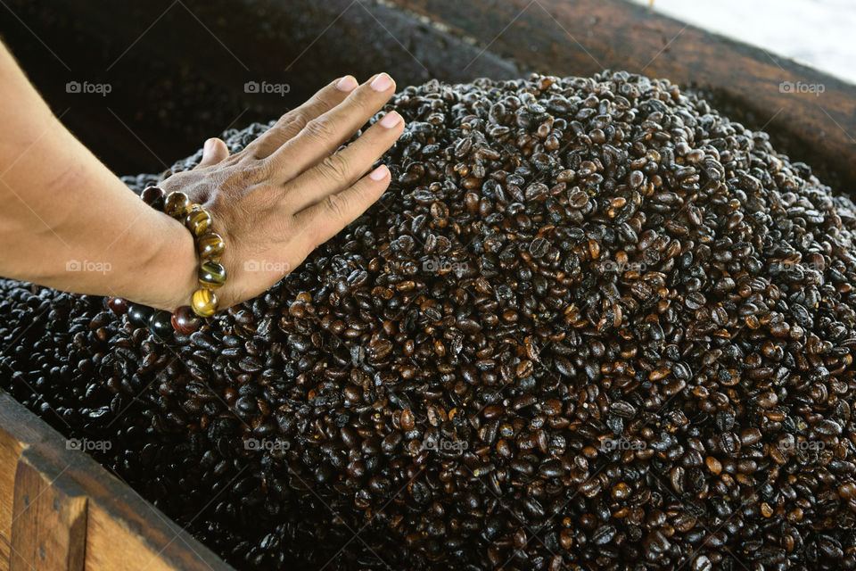 Human hand at coffee beans