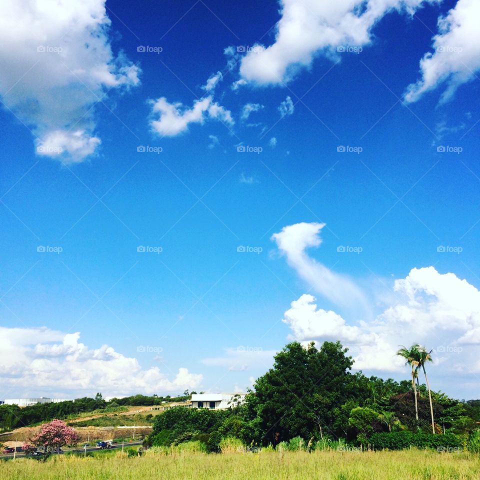 O #céu azul inspirando o #domingo.
Viva a #Natureza!
📸
#FotografiaÉnossoHobby
#paisagem #infinito #nuvens #horizonte #fotografia #landscapes