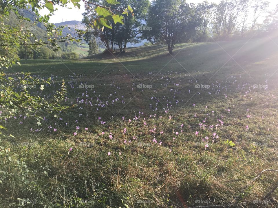 End of summer in fields 