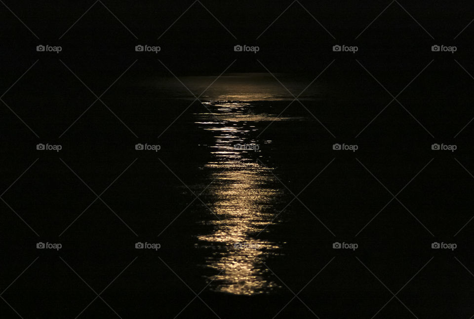 The moonshine reflects in the sea at night. 