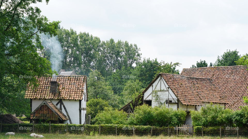 At Domain Bokrijk during summer in Belgium.