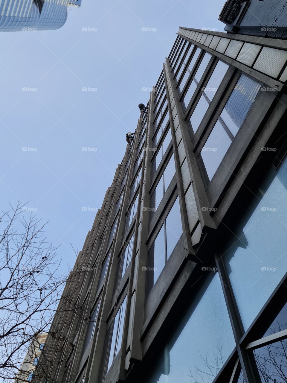Free-fall Window washers in Melbourne