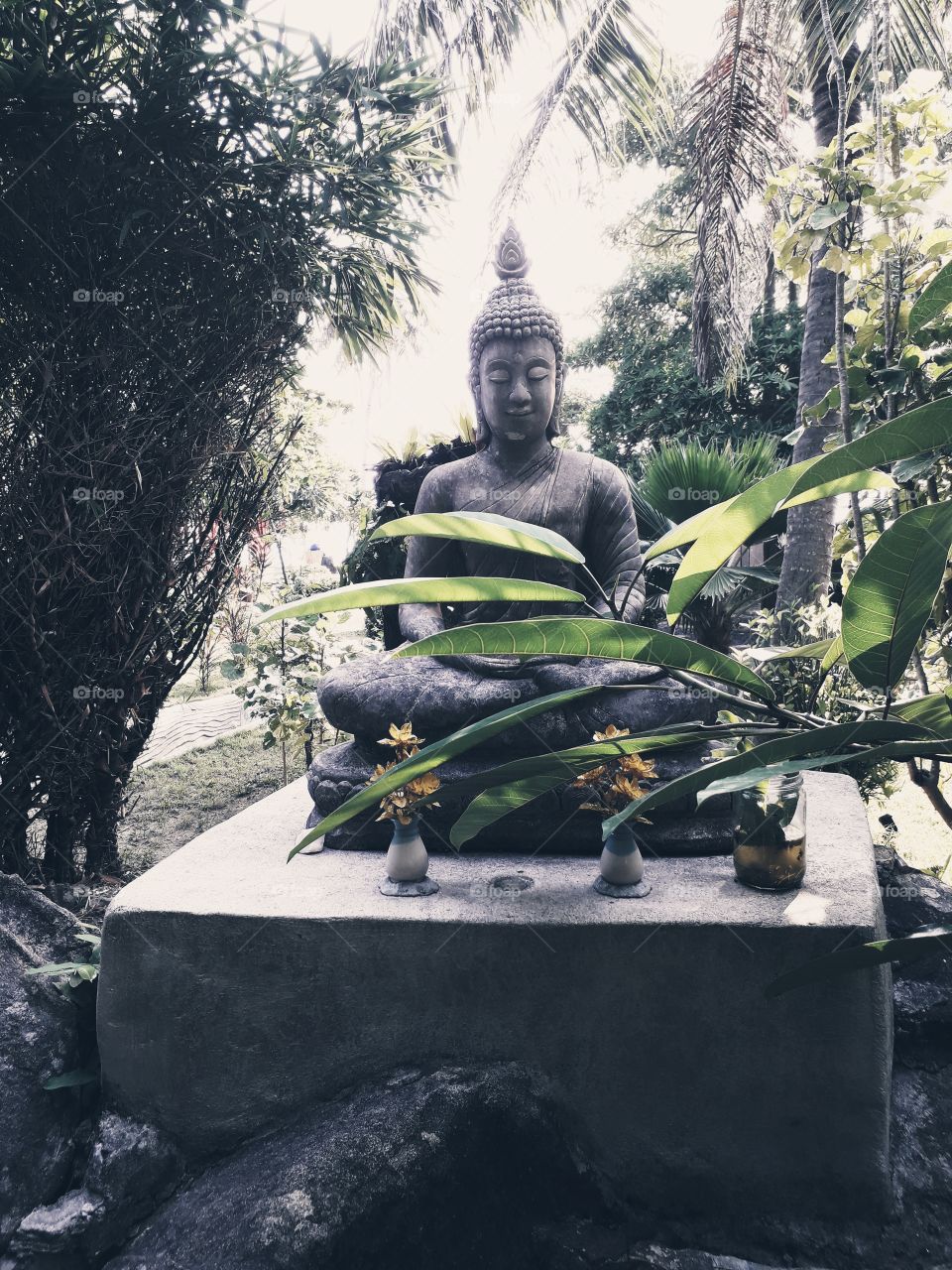 buddha nature