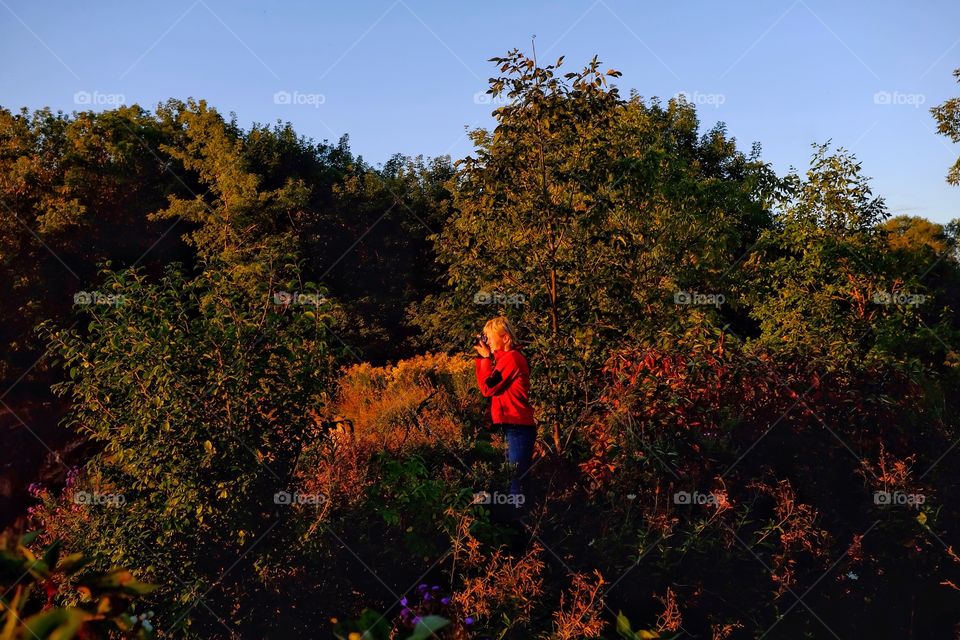 Person photographing in forest