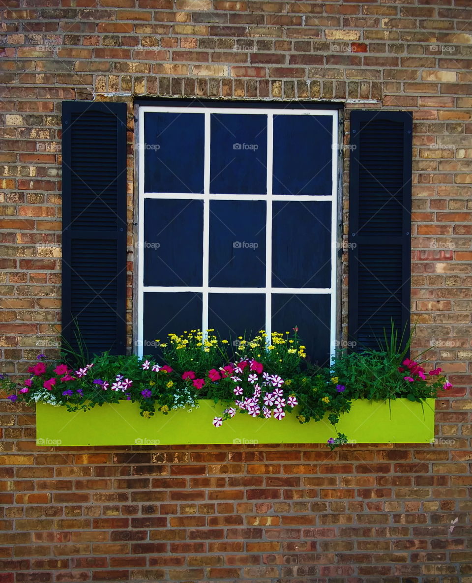 Window - Ludington, MI