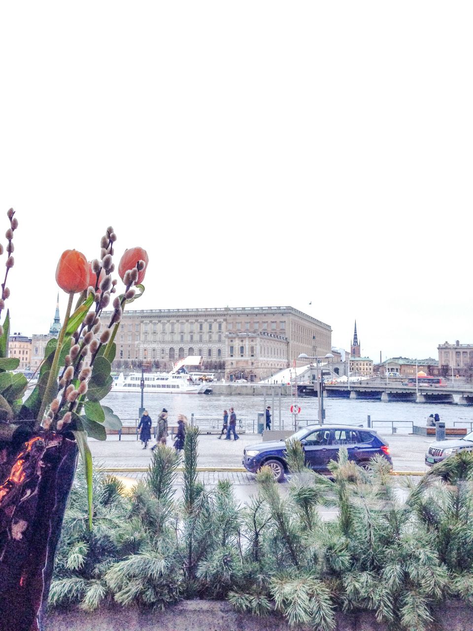 stockholm palace view