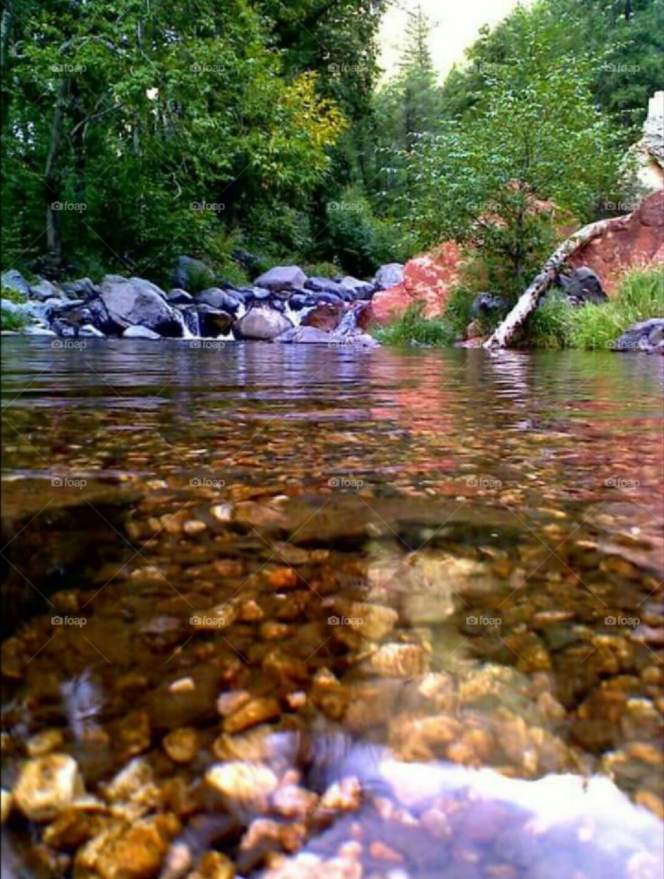Oak Creek, just North of Sedona, Arizona.