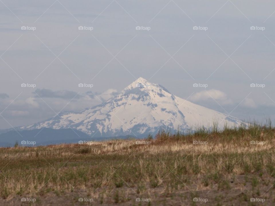 Mt. Hood