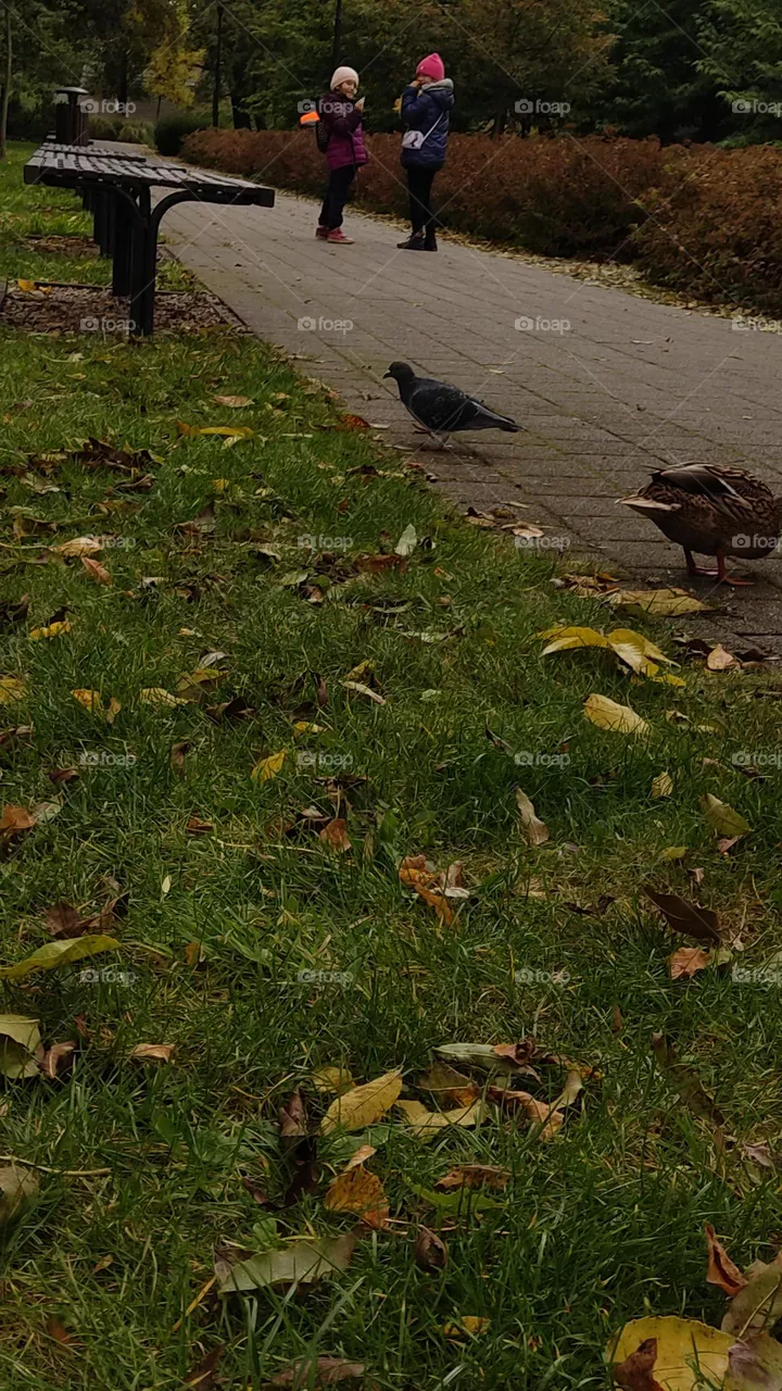 walk