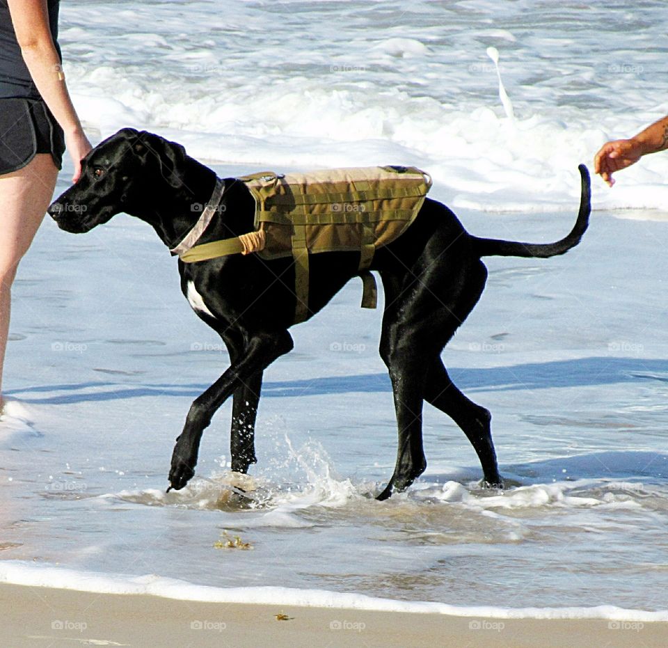 Beach play all day