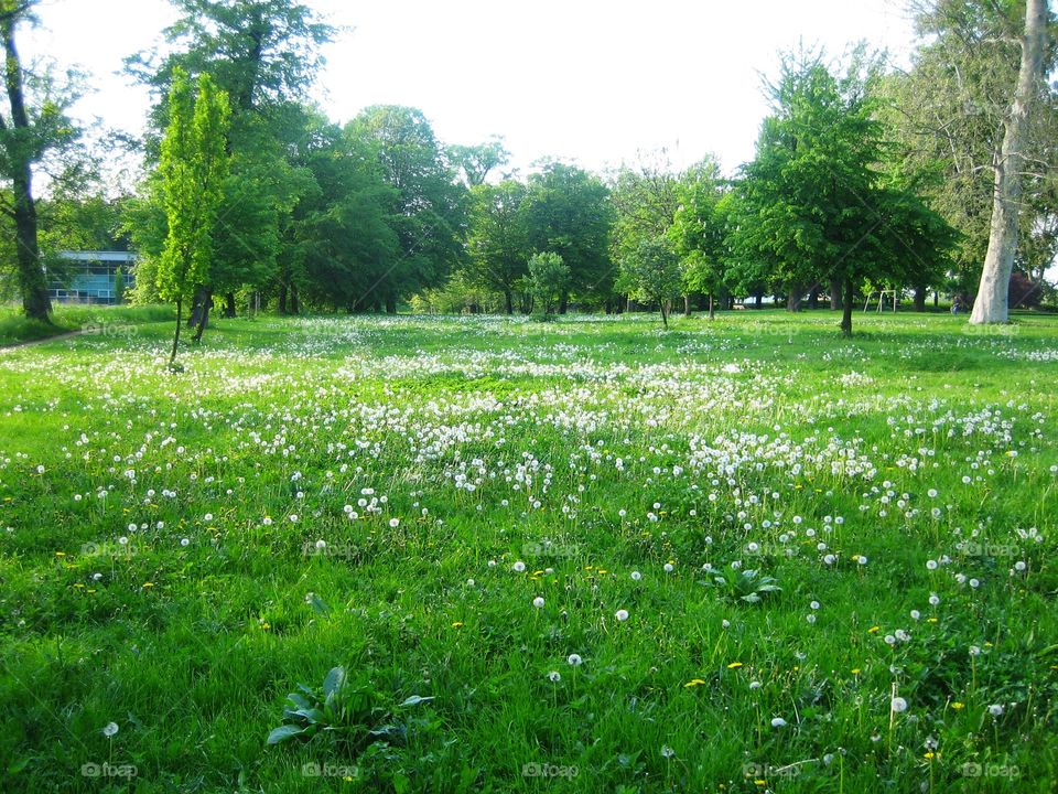 Sometimes your day is sad, sometimes your day is happy and sometimes it's just... pure green!