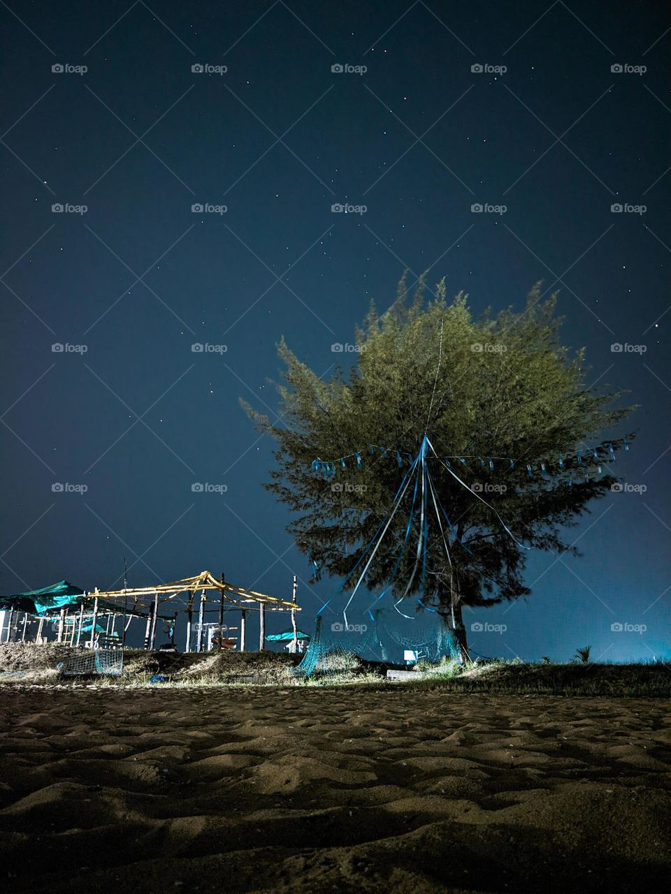 Trees are poems that the earth writes upon the sky