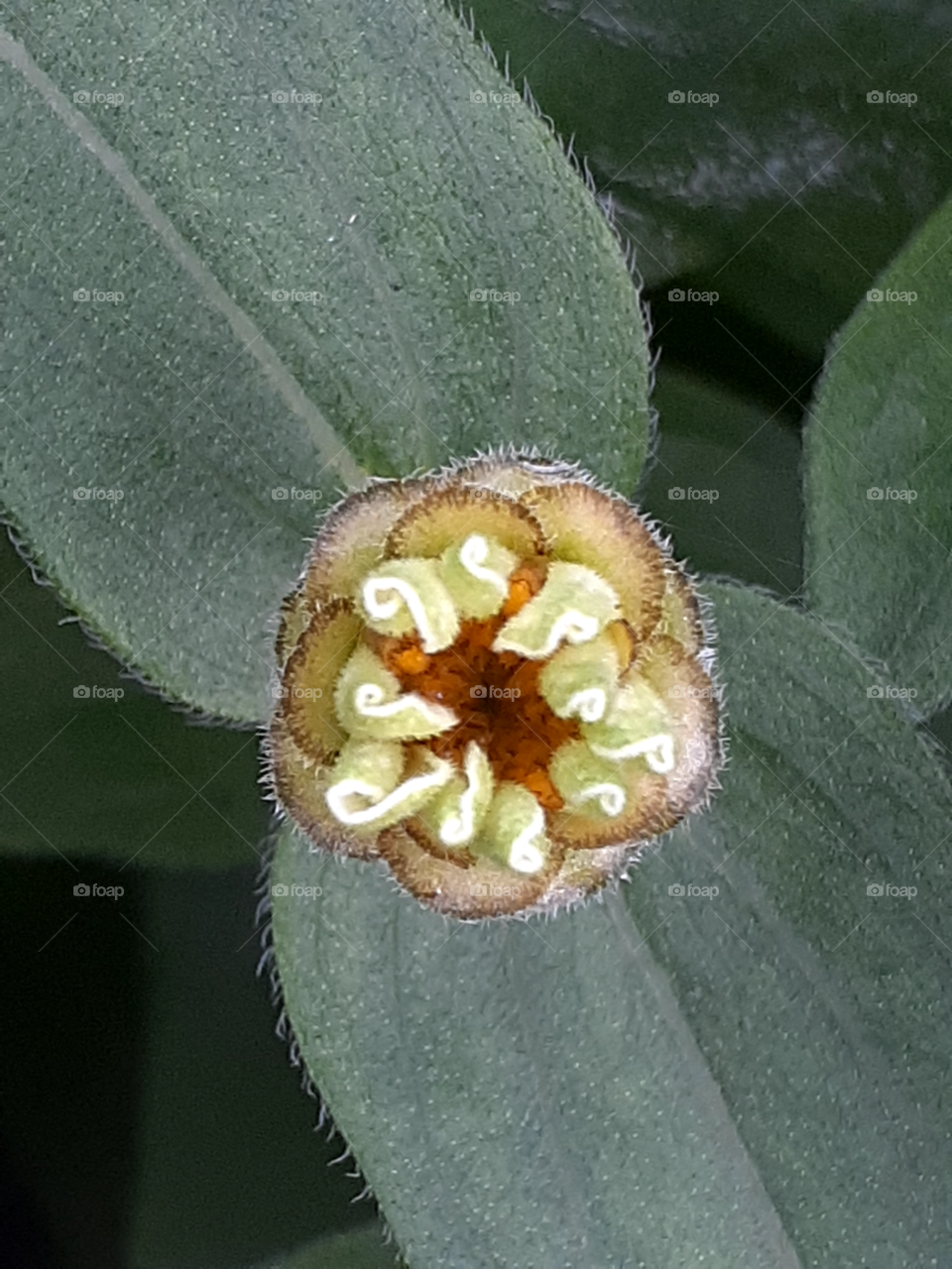 this is just a tiny little things that no one bother to see. but when i took this pics from above.. it looks so unique. it looks like arabic letters.