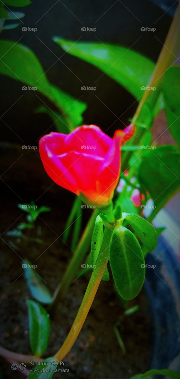 #color #folkgreen #roamtheplanet #exploretherewards #modernoutdoors #naturparkfichtelgebirge #themoderndayexplorer #moodygrams #vibesofvisuals #wekeepmoments