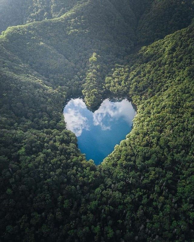 natural ❤