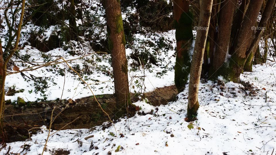 Stream in the snow
