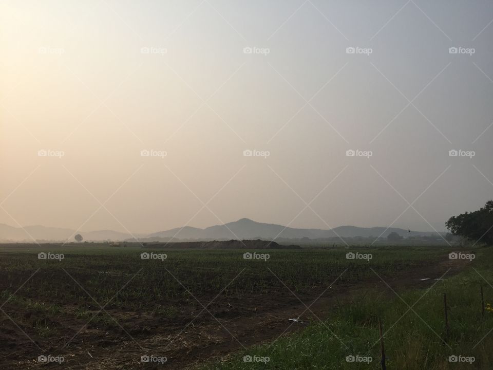 Fog, Landscape, Sunset, Dawn, Mist