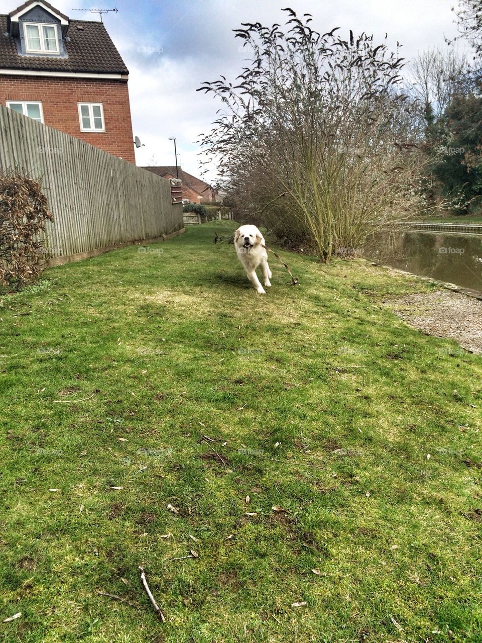 Zoe having fun at the canal