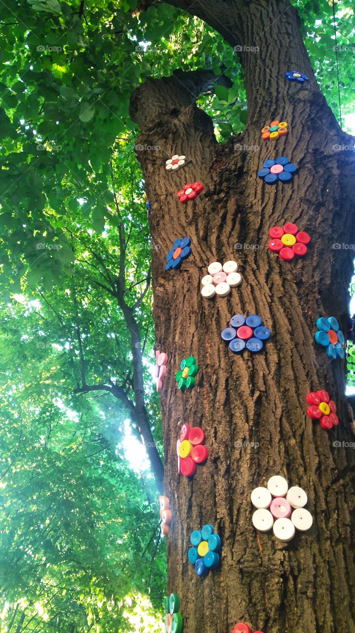 Magic tree in front of the children's kindergarten