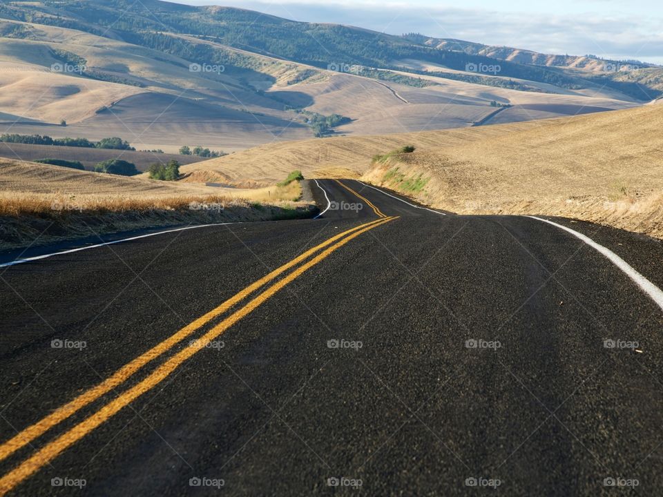 Winding road into rolling hills