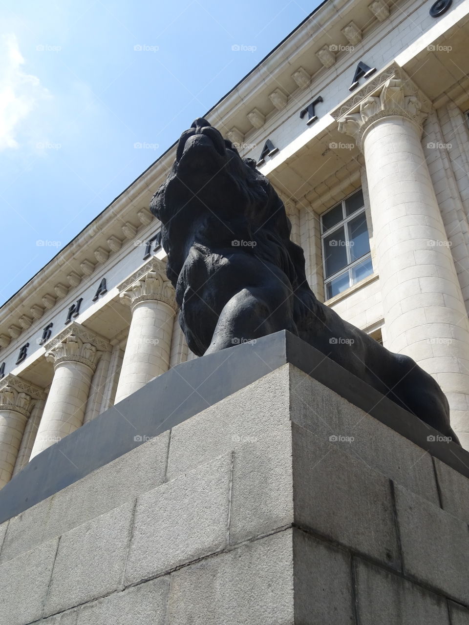 Lion in Sofia