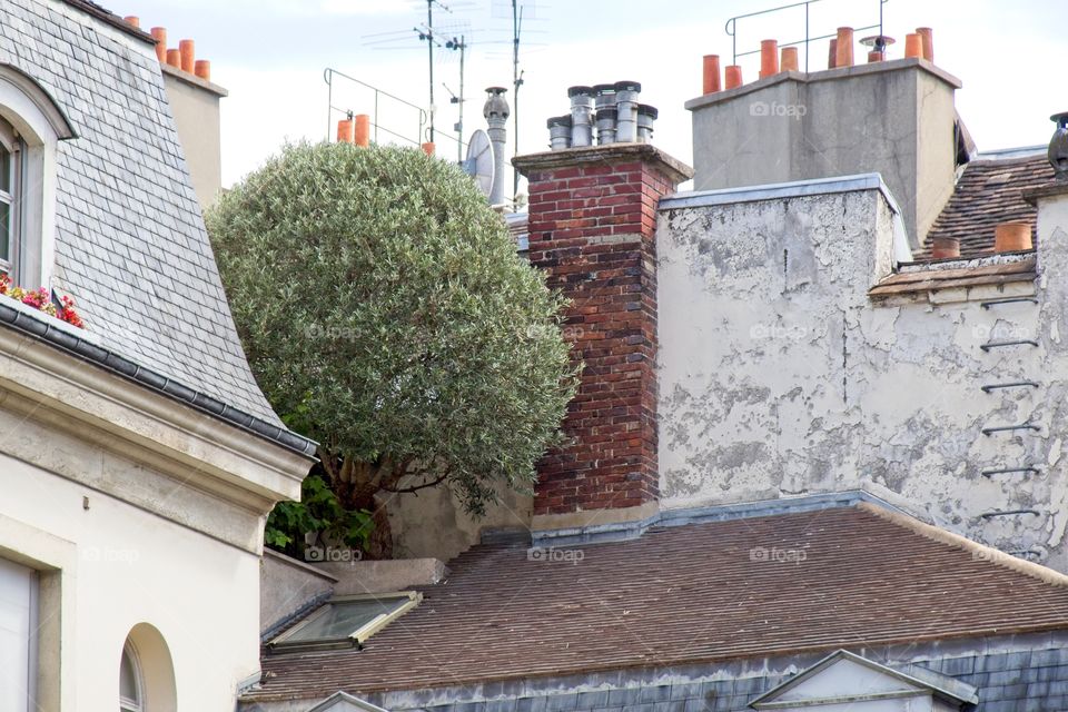 facade of an building