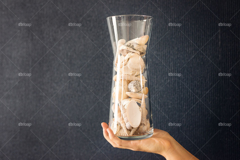 Seashells in a vase