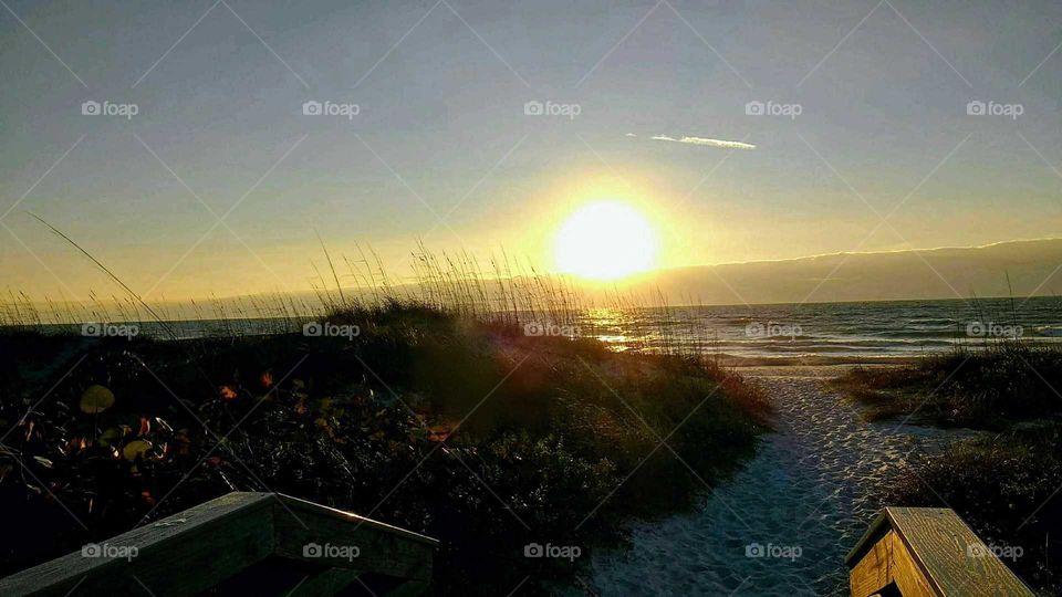 Floridian Sunset