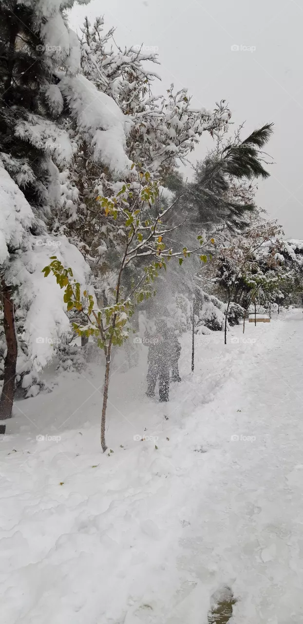 snow