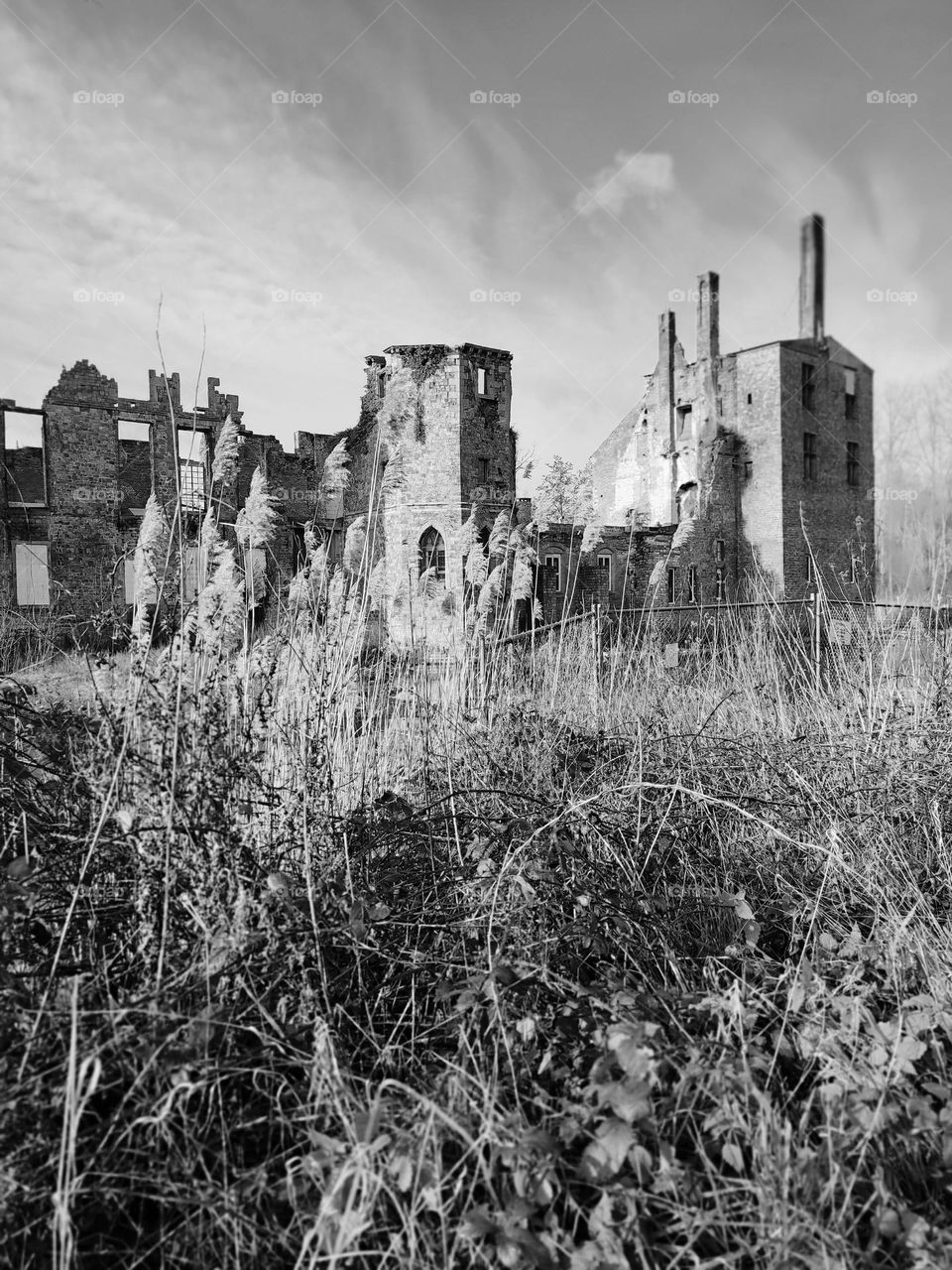 Visit of the castle of Havré, Hainaut