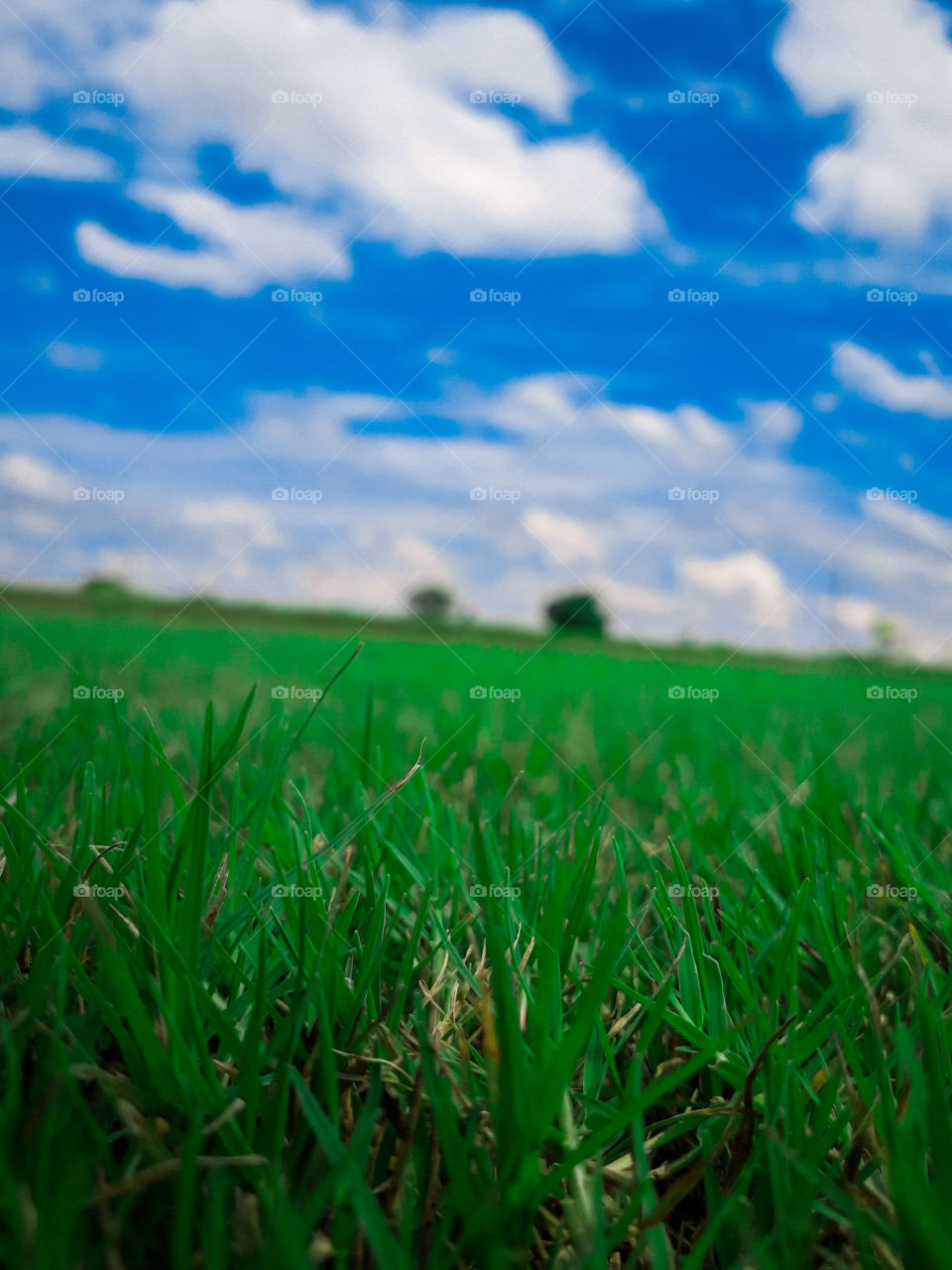 Photoshoot with green grass and blue sky.
Widht:3096
Height:4128
FileSize:4.02MB
Focal Length:3.6MM