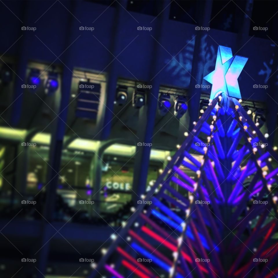 Christmas Tree and Decorations 