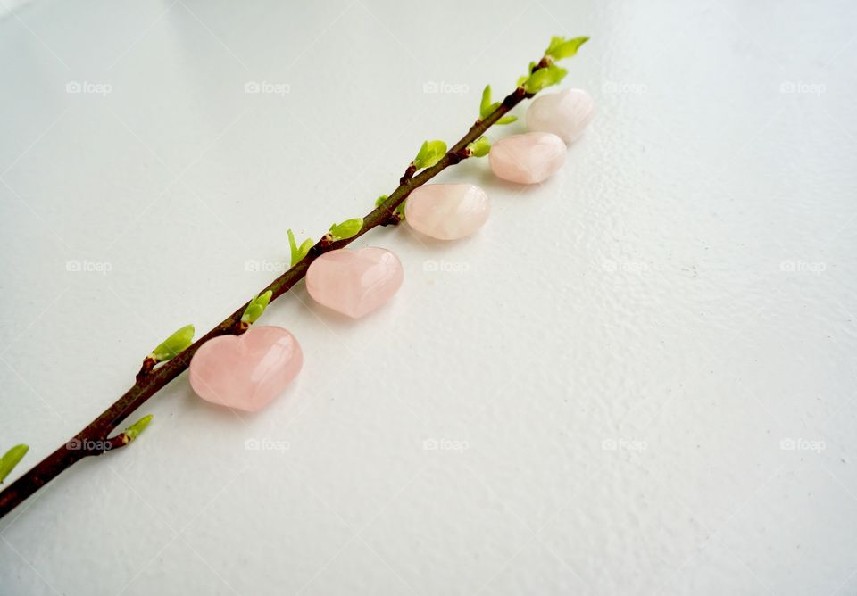 Close-up of twig and heart shape candies