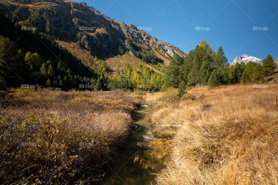 Fall colors and a river