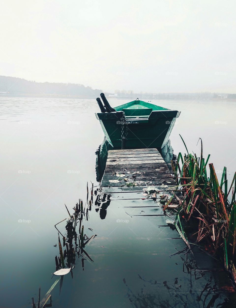 Morning on the lake