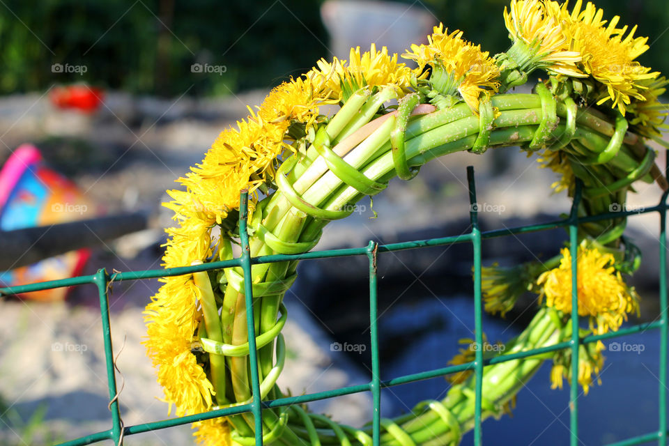 Dandelion, flower, vegetation, plants, meadow, meadow, village, sun, summer, heat, nature, landscape, still life, yellow, white, beautiful, furry,