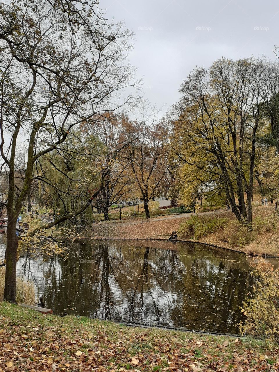 Эспланада. Рига