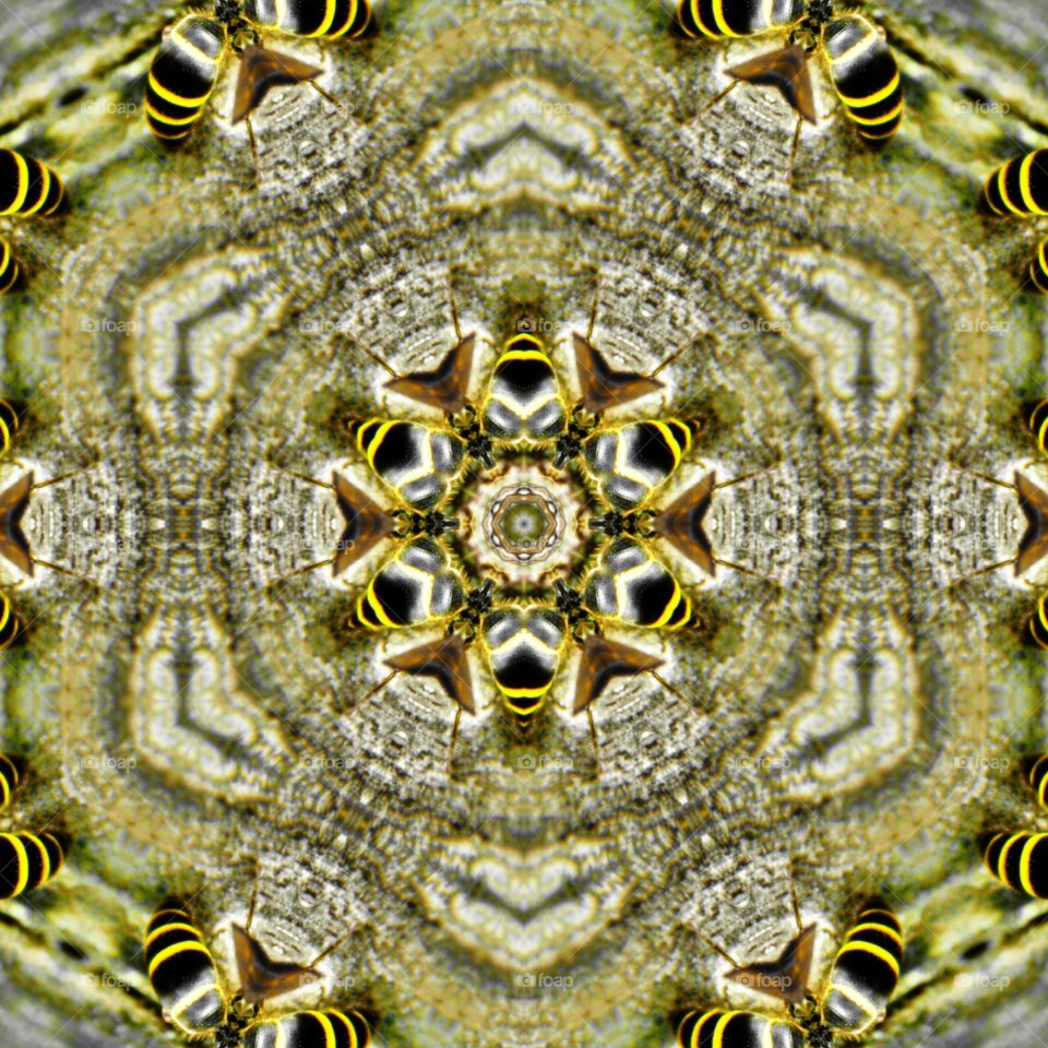 bee kaleidoscope
