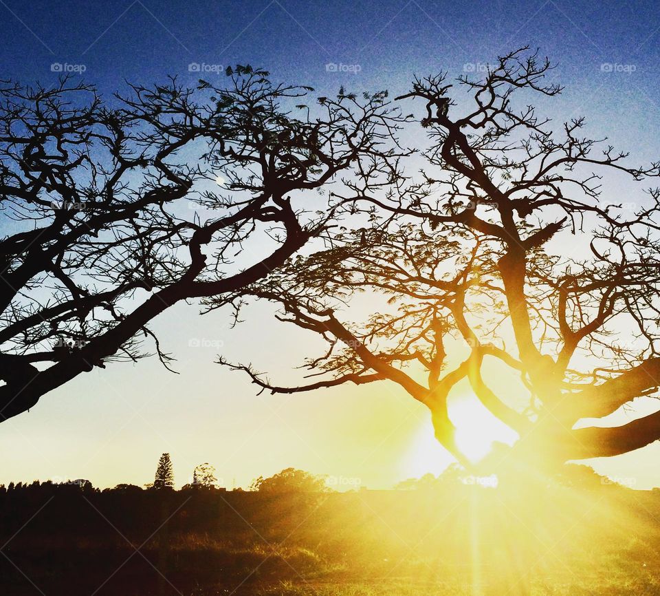 🌄🇺🇸 An extremely beautiful dawn in Jundiaí, interior of Brazil. Cheer the nature! / 🇧🇷 Um amanhecer extremamente bonito em Jundiaí, interior do Brasil. Viva a natureza! 